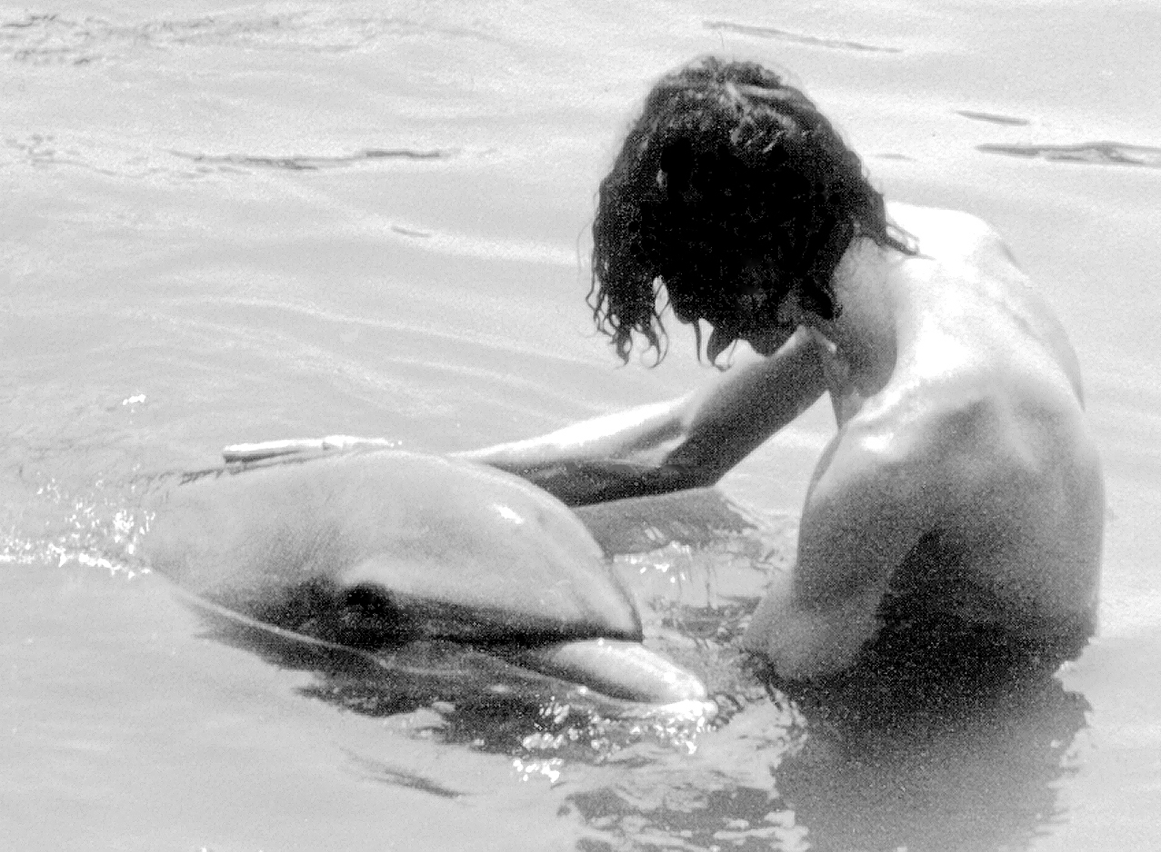 как дельфин трахает человека фото 54