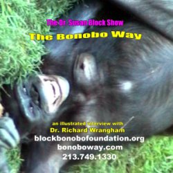 "The Bonobo Way": My Illustrated Interview with Dr. Richard Wrangham (who manages to stay friendly with all bonobo-related human political factions) 