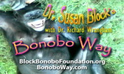 The Bonobo Way