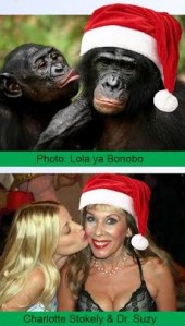 Bonobo-Santa-DrSuzy