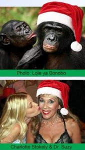 Bonobo-Santa-DrSuzy_300