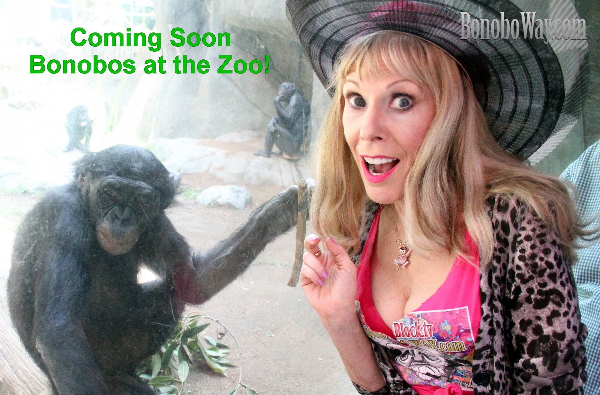 Bonobos-Zoo-Coming