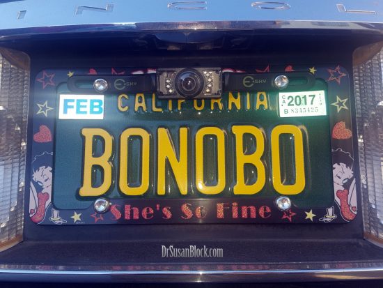 bonobo-license-drsuzy