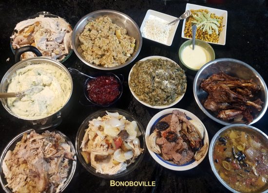 Bonoboville Thanksgiving 2016. Photo: Susan Block