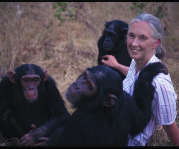 4.2.17: Love delivered to my inbox