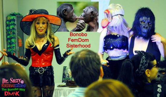 Bonobo FemDom Sisterhood is strong... even though they're not really sisters. Photo: Don Juan