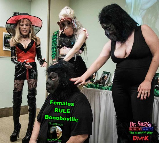 Females Rule Bonoboville. Photo: Jux Lii