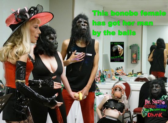 As Primatologist Dr. Isabel Behnke says, "This bonobo female has got her man by the balls." Photo: Don Juan