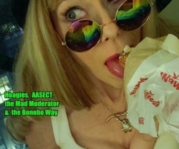 Hoagies, AASECT 2019, the Mad Moderator & the Bonobo Way