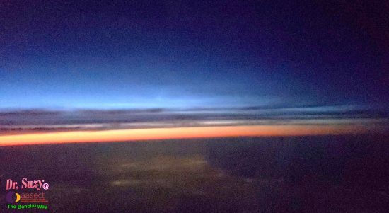 Fly by Night Therapy on the Sunset Flight. Photo: Author + William Giles