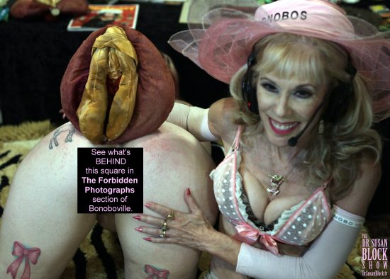 Comparing the anatomy of My Wondrous Vulva Puppet with Violet Coxx's wondrous wide opn vulva which you can see in all its glory in the Forbidden Photographs section of Bonoboville. Photo: J.B.