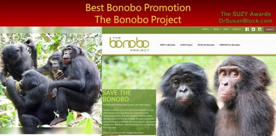 Best Bonobo Promotion The Bonobo Project