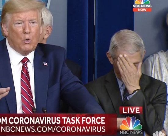 Dr. Fauci touches his face - to cover his embarrassment - over the Covidiot-in-Chief's remarks.