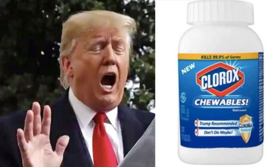 chloroxchew